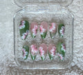 THE Flora Set